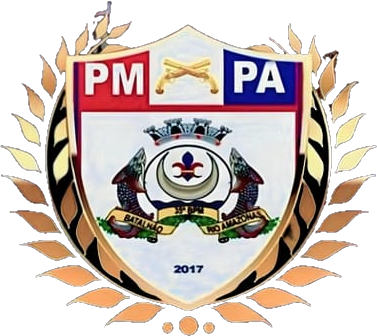 Escudo do 35°BPM