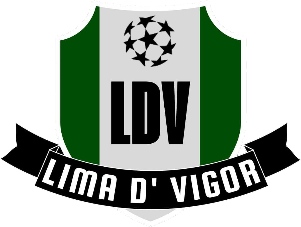 Escudo do Dvigor