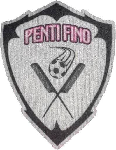 Escudo do Pente Fino